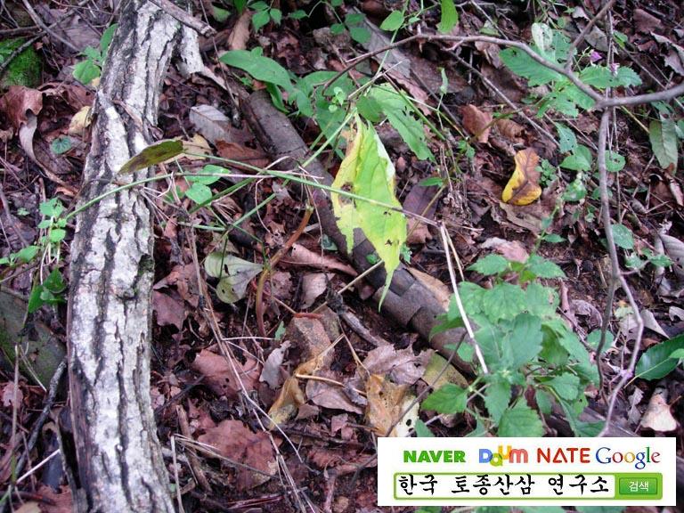 5�� ����Դϴ�.