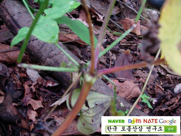 5�� ����Դϴ�.