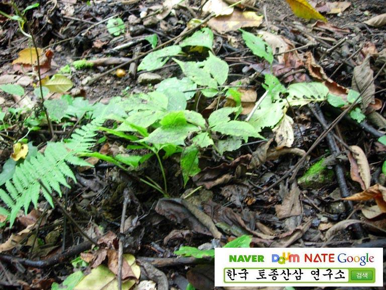 3�� ����Դϴ�.