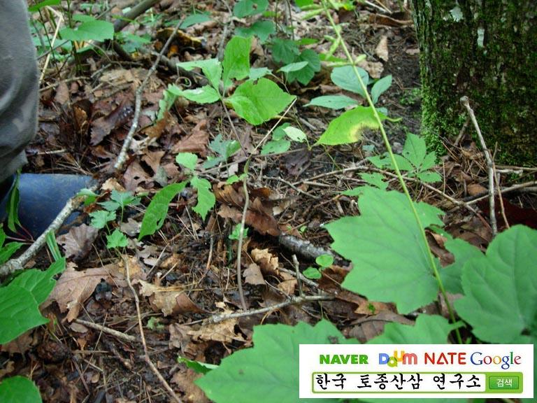 3���� ���� ����Դϴ�.