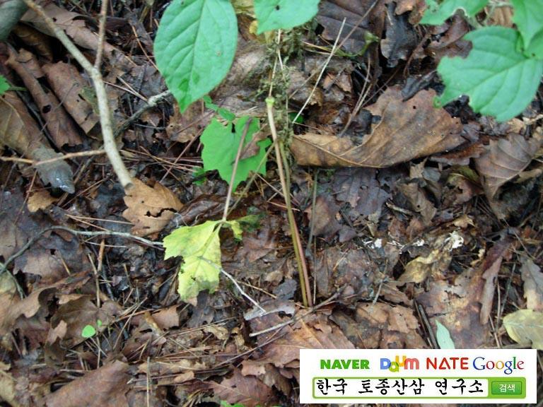 4�� ����Դϴ�.