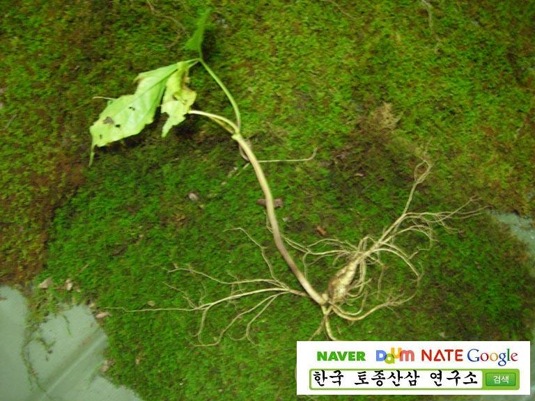 5�� ����Դϴ�.