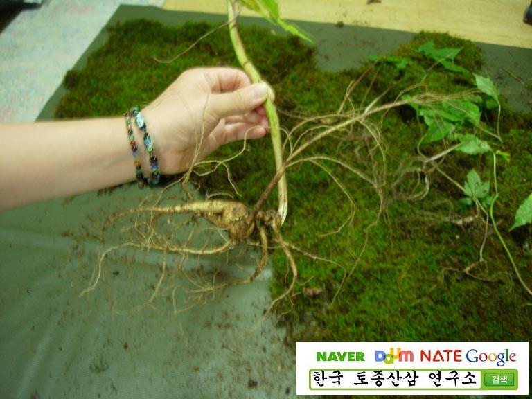 5�� ����Դϴ�.